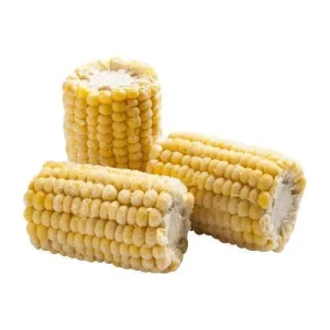 Corn on the Cob - Pack of 3